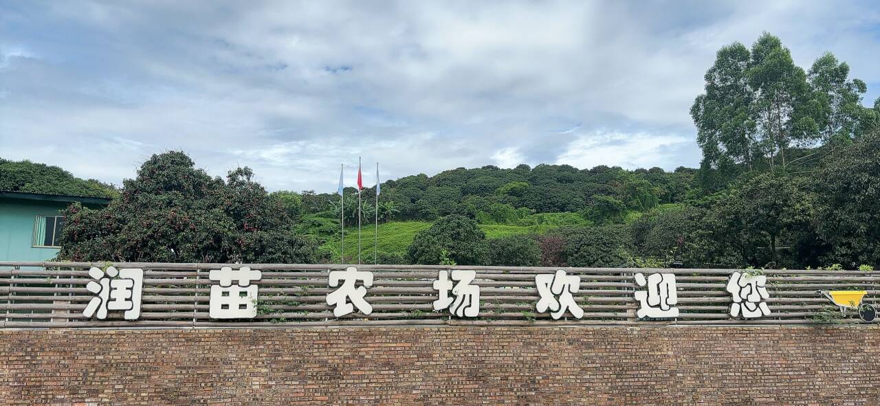 润苗农场.jpg